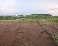 Bán đất vườn mặt tiền DH03 Xã Tân Tiến Bù Đốp Bình Phước