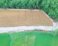 Chính chủ cần bán lô đất tại Hòa Phong gần ngay TTHC huyện Hòa Vang giá 1070 tỷ