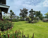 Bán biệt thự view Sông diện tích gần 1600m2 trung tâm Thành Phố Đà Nẵng