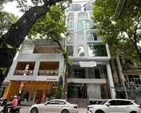 Mặt phố Bà Triệu, Hai Bà Trưng xây 7 tầng, DT 169m2, vỉa hè đá bóng, gần Nguyễn Du