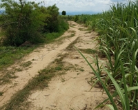 Bán đất 1,2 mẫu Tại khu Glai Ruh-Xã Chư Răng- Huyện La Pa- Tỉnh Gia Lai