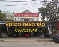 VỊT CỎ THẢO BÉO 85 Nguyễn Tất Thành, Định Trung, Vĩnh Yên, Vĩnh Phúc.