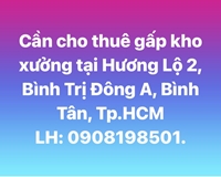 Chính chủ cho thuê đường Hương Lộ 2, Phường Bình Trị Đông A, Quận Bình Tân