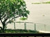 HÀNG NGỘP Villa 5 sao view sông Vườn Lài APĐ ngang 12m 360m2 có hồ bơi chỉ 35 tỷ.-2