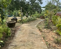 Chính chủ cần bán nhanh lô đất đẹp tại ấp Chuông Vích , xã Gành Dầu, TP Phú Quốc , Kiên Giang