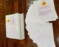 Mở bán đợt đầu dự án Lam Sơn Nexus City Bắc Giang, sổ đỏ trao tay, hỗ trợ vay ngân hàng: 0966100509