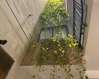 Cho thuê toà nhà 6 tầng có thang máy mặt tiền Núi Thành, Hải Châu Đà Nẵng , 35tr/th