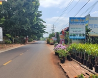 Bán gấp lô đất ngay trung tâm thị trấn Lộc Ninh, đường nhựa 18m, 300m2 thổ cư 100m2 giá chỉ 320tr
