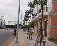 Sở Hữu Ngay Lô ĐẤT ĐẸP - GIÁ TỐT Giáp Khu TICCO Nguyễn Trọng Dân, Tp Gò Công, Tiền Giang