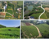Chính chủ bán lô đất xã Tu Vũ, Thanh Thuỷ, Phú Thọ; 0984206886