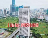 Chính chủ cho thuê 250m2 sàn văn phòng tại 36 Phạm Hùng