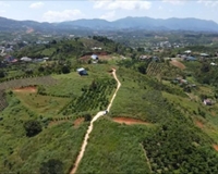 Đất Đẹp - Giá Tốt - Chính Chủ Cần Bán Lô Đất Vị Trí Đẹp Tại xã Đại Lào, Bảo Lộc Lâm Đồng