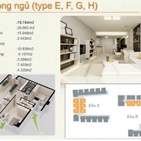Thiết kế căn hộ E, F, G, H