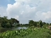Bán đất Thới An - view sông Vàm Thuật - gầnUBND quận 12,  Lê Thị Riêng-0