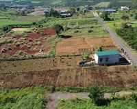 💯Bán đất thổ cư shr rẻ nhất thị trường trên Bảo Lộc Lâm Đồng.
5x20=100m2 chỉ 400tr