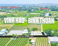 Bán cặp lô góc 2 mặt tiền full thổ cư ven biển Tuy Phong, Bình Thuận.