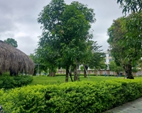 Bán căn nhà phố 4 tầng View công viên cực đẹp tại TP Thanh Hóa 