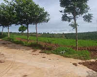 Bán đất vườn trong nông trại Southern Pleiku Farm Giá 260tr/1000m