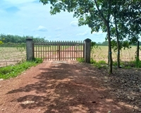 Bán đất vườn 18 hécta xã đôn thuận - trảng bàng Tây Ninh