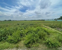 Chính chủ cần bán lô đất tại Ấp Rừng Sến, xã Mỹ Hạnh Bắc,  huyện Đức Hòa,  tỉnh Long An.