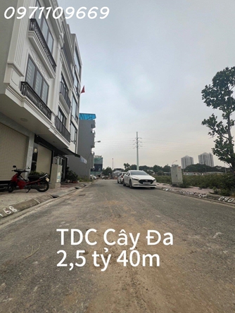TDC Cây Đa 40m2 ngang 4m không lỗi lầm vị trí siêu đẹp siêu hiếm phường Đằng Giang, quận Ngô Quyền, tp Hải Phòng