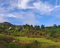 Cắt lỗ mảnh đất view siêu đẹp tại  MĂNG ĐEN- KONTUM