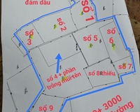 Cần bán tổng diện tích 18 mẫu đất vườn tại  xã đôn thuận - trảng bàng Tây Ninh