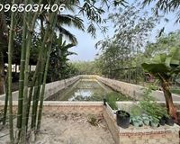 Cho thuê nhà vườn 1800m giá rẻ tại Ấp Long Hưng,Xã Long Nguyên, Huyện Bàu Bàng, Bình Dương