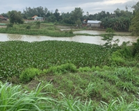 Bán đất Vườn 915m2, có 300m thổ cư, View Sông Tịnh Hoà - Tp.Quảng Ngãi chỉ 1 triệu/m2