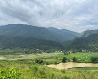 Cắt lỗ mảnh đất đẹp tại Quản Bạ, Hà Giang, thích hợp làm Homestay nghỉ dưỡng.
