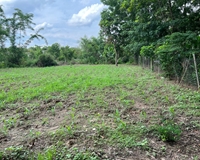 Bán thửa 10m mặt DT 324m2 đất ở và trồng cây lâu năm xã Tân Phước huyện Đồng Phú Bình Phước