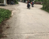 Chính chủ cần tiền bán cắt lỗ lô đất nằm trên trục đường xã Nam Thanh, Tiền Hải.
