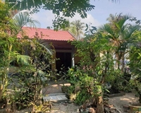 Cần tiền bán gấp nhà ở tại KP Phước Lý, P.Xuân Yên, thị xã Sông Sầu, Phú Yên