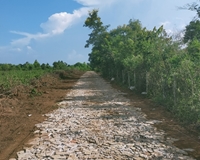 Bán đất nông nghiệp tại Pleiku- Gia Lai cắt lỗ