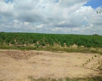 Cần bán gấp lô  đất có  tổng DT 1,6 mẫu đất  tại huyện La Pa, tỉnh Gia Lai