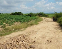 Cần bán gấp lô  đất có tổng DT 2,1 mẫu tại huyện La Pa tỉnh Gia Lai