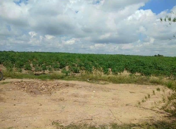 Cần bán gấp lô  đất 1,6 mẫu đất  tại huyện La Pa, tỉnh Gia Lai