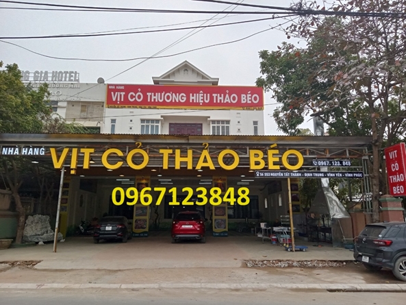 VỊT CỎ THẢO BÉO 85 Nguyễn Tất Thành, Định Trung, Vĩnh Yên, Vĩnh Phúc.