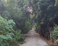 Bán 4,2ha đất rừng sản xuất tại Liễn Sơn, Lập Thạch, Vĩnh Phúc. Lh: 0986934038