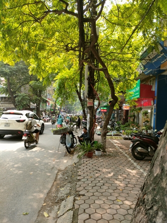 Cho thuê gấp nhà đẹp vị trí đẹp mặt phố Nguyễn Huy Tự 50m, 2 tầng, mặt tiền 5m, 44 tr/th Hai Bà Trưng.