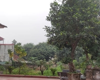 Chính chủ cho thuê nhà nguyên căn tại Vĩnh Yên.
