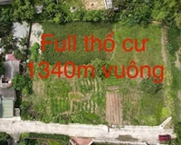 Bán lô đất giá rẻ cho nhà đầu tư tại Lê Xá Dương Quang, Mỹ hào diện tích hơn 1340m2 full thổ cư