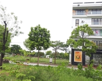 Bán cắt lỗ đất đấu giá Sóc Sơn đối diện sân bay nội.