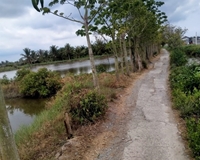 GẤP!!CHÍNH CHỦ Cần Bán Đất  Vườn Dừa, Giá Tốt Tại Thạnh Trị, Bình Đại, Bến Tre
