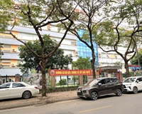 Bán Nhà Khu Đô thị Bắc Linh Đàm, Quận Hoàng Mai, 79m x 4T. Giá 11 Tỷ.