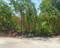 Cần bán mảnh đất tại Xứ Đồng hàng Dừa, Thôn Trinh Tiết, Xã Đại Hưng, Huyện Mỹ Đức, Hà Nội.