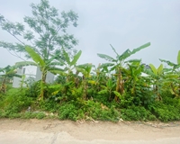 Bán đất đấu giá view vườn hoa Tân Ngọc, Bá Hiến, Bình Xuyên, Vĩnh Phúc. Lh: 0986934038