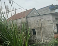 Chính chủ cần bán đất tại xóm 4 xã Gia Minh, huyện Thủy Nguyên, Hải Phòng