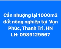 Cần nhượng lại 1.000m2 đất nông nghiệp tại xã Vạn Phúc, Thanh Trì, Hà Nội
