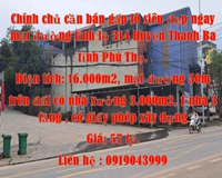 Chính chủ cần bán gấp lô siêu đẹp ngay mặt đường tỉnh lộ 314 Huyện Thanh Ba, tỉnh Phú Thọ.